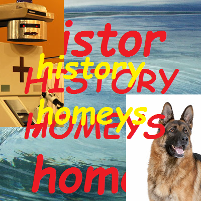 history_homeys_logo.png